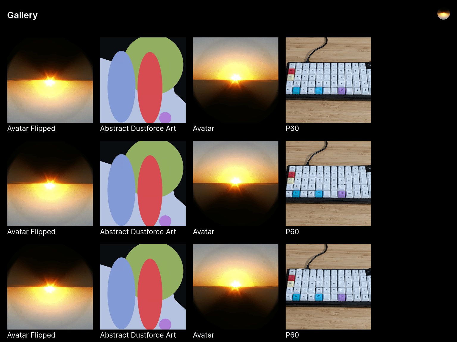 Authenticated user - displays the dummy images loaded from the db